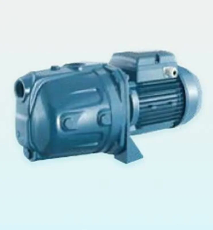 پمپ یک اسب جتی پنتاکس با یک سال گارانتی مدل CAM100N/00-IR