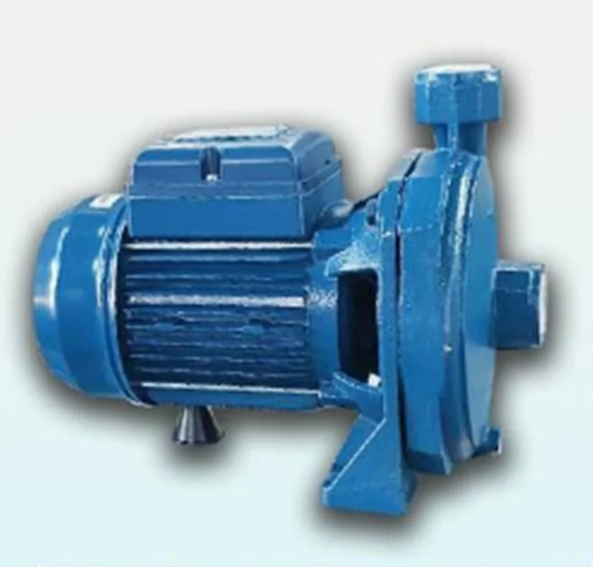 پمپ یک اسب بشقابی پنتاکس با یک سال گارانتی مدل CM100/00IR